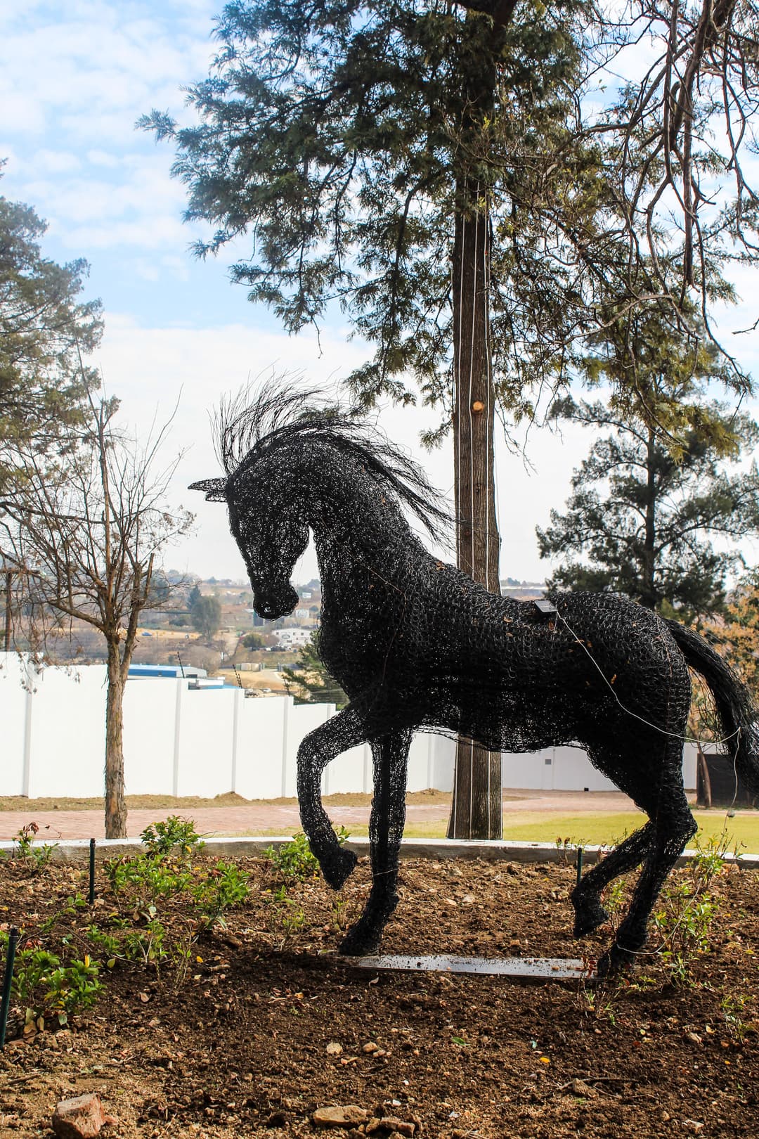 Horse View Garden - View 1